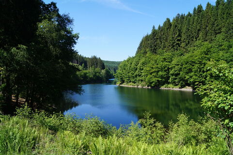 der Rengsearm der Aggertalsperre