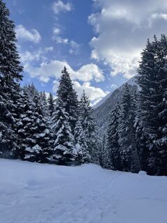 Foto da Csilla Hanák lungo il tour