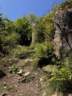Photo de Andreas Endres 1 le long du parcours