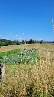 Foto von Anna48 Ma entlang der Tour