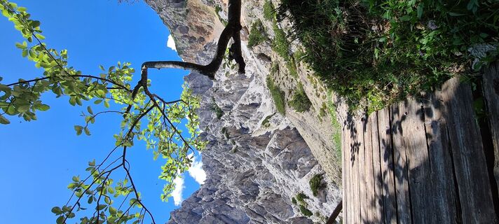 Fotografia z Martina Oitzinger na trase