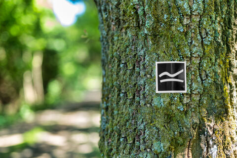 Rothaarsteig Logo