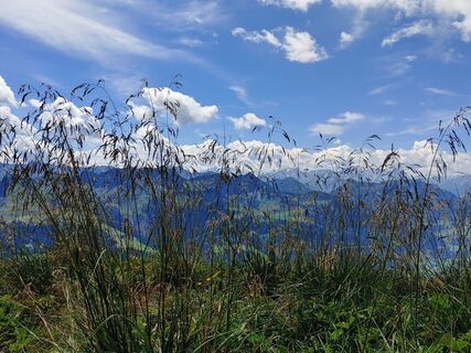 Fotó a Roger Stahl honlapról a túra során