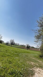 Fotografia z Frankjogger na trase