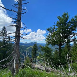 Blick nach Hintersee