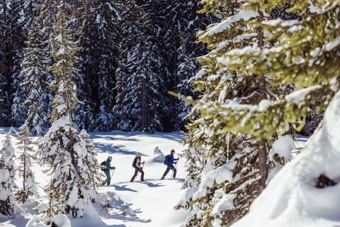schneeschuhwanderung alpbach