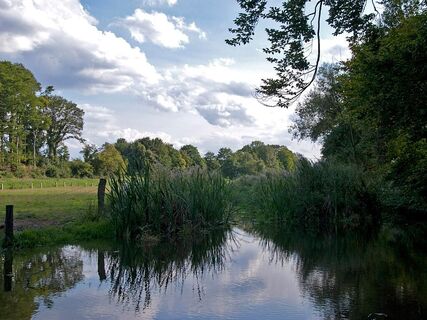 Renaturierung Bolldammbach