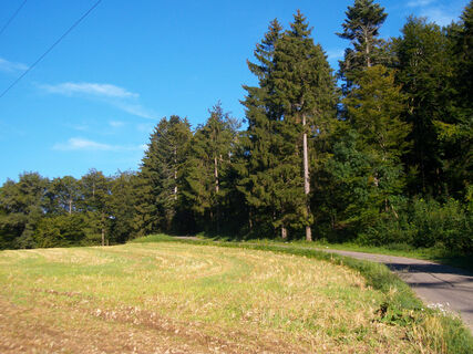 Landschaft am Wegesrand