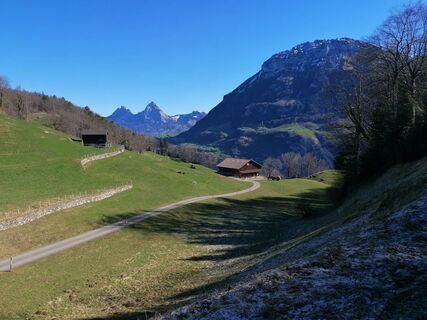 Fotografie z luyyy na trase