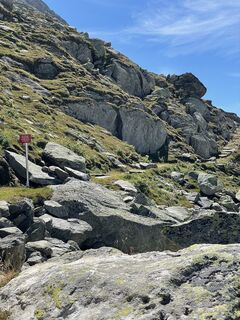 Photo de ceiby le long du parcours