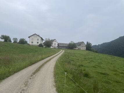 Fotografie z Piotr Radzinski na trase