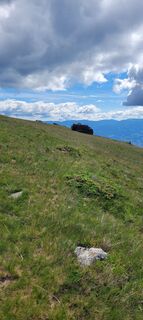 Fotografia z Alois-Gerhard Mairitsch na trase