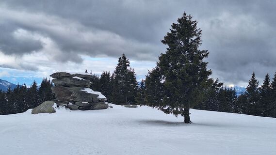 Fotografija s spletne strani Susi Puhl na poti