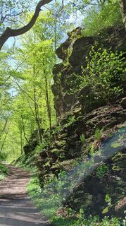 Fotografija s spletne strani Sintra Kano na poti