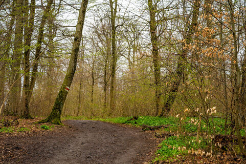 Fotografia z Ekhard Oberleitner na trase