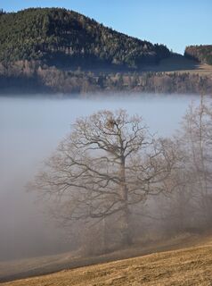 Fotografia z TwilightTea na trase