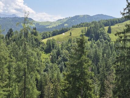 Foto von Jakob Krimbacher 1 entlang der Tour