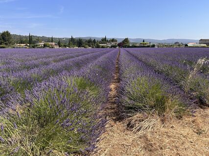 Foto de jml a lo largo del recorrido