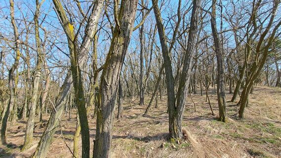 Zdjęcie z Frau Gramurli wzdłuż trasy