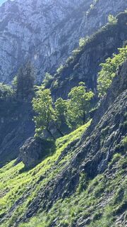 Foto von Mountain Cat ? ⛰️ entlang der Tour