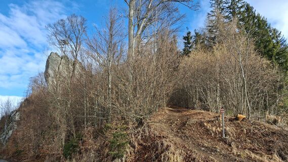 Fotografie z Eva Hebesberger na trase