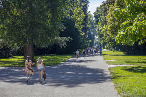 Karlsruhe_Mende_0C0A2820