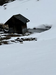 Foto de Schabsi a lo largo del recorrido