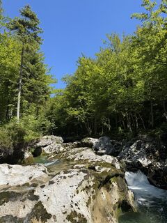 Foto von Borsos K entlang der Tour