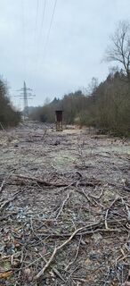 Fotografija s spletne strani Angie Rickert na poti
