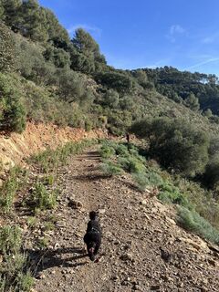 Foto från Hanna Sommersacher under resans gång