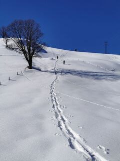 Fotografija s spletne strani Chnorli-Furz na poti
