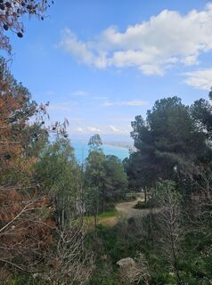 Photo de Andreas Schneider 7 le long du parcours