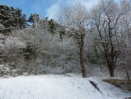Winterlandschaft in Dreistetten