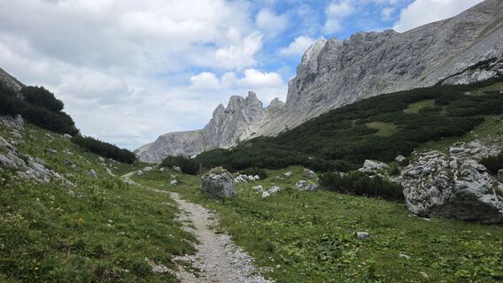 Photo de King Whisky le long du parcours