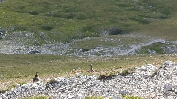 Photo de Christian L. le long du parcours