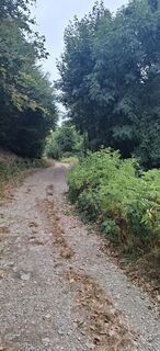 Photo de Launga76 le long du parcours