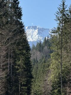 Photo de Denise Miller le long du parcours