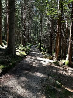 Foto de Lars Wittenberg a lo largo del recorrido