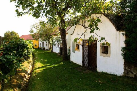 Zemljevid