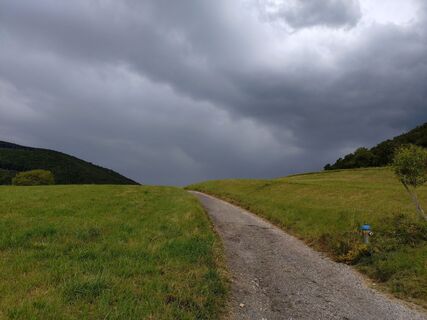 Foto von Roman entlang der Tour