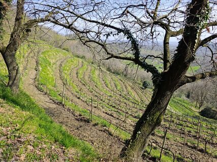 Foto de Guido Lovati a lo largo del recorrido
