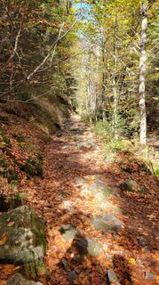 Fotó a Sebastian honlapról a túra során