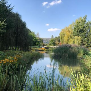 Pilgerpfad - Malerblick