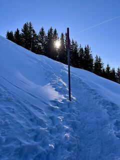 Fotografie z Angelina Starke na trase