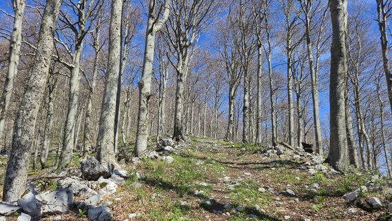 Foto von Fabrizio Plesnizer entlang der Tour