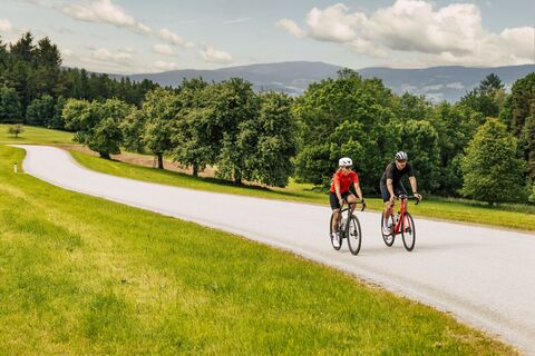 Rennrad Paar (c) bernhard bergmann