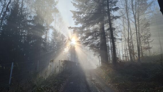 Foto de Gerhard Malecik a lo largo del recorrido