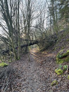 Fotografia z luggy na trase