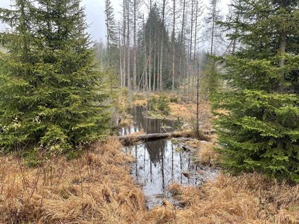 Fotografija s spletne strani Franzl na poti