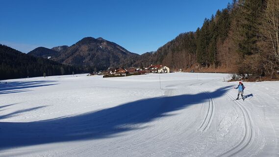 Foto von Hans B entlang der Tour